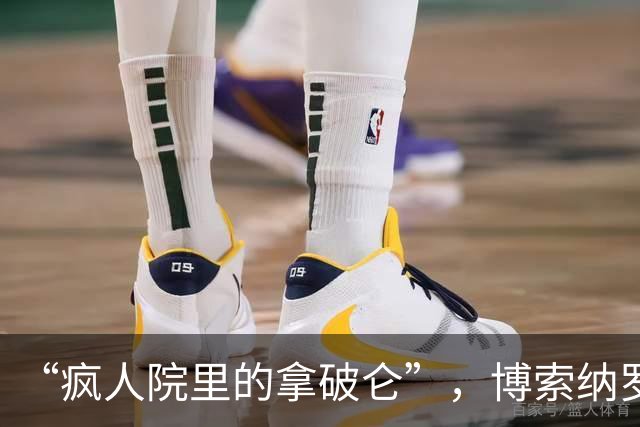 “疯人院里的拿破仑”，博索纳罗遭到各国网民群嘲