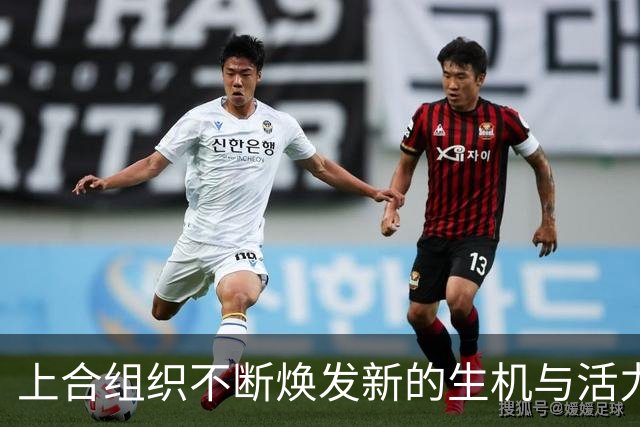 上合组织不断焕发新的生机与活力（国际论坛）