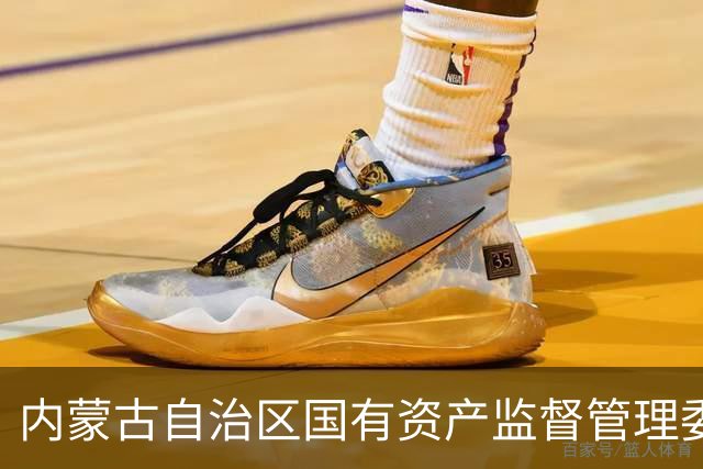 内蒙古自治区国有资产监督管理委员会原一级巡视员朝克图严重违纪违法被开除党籍