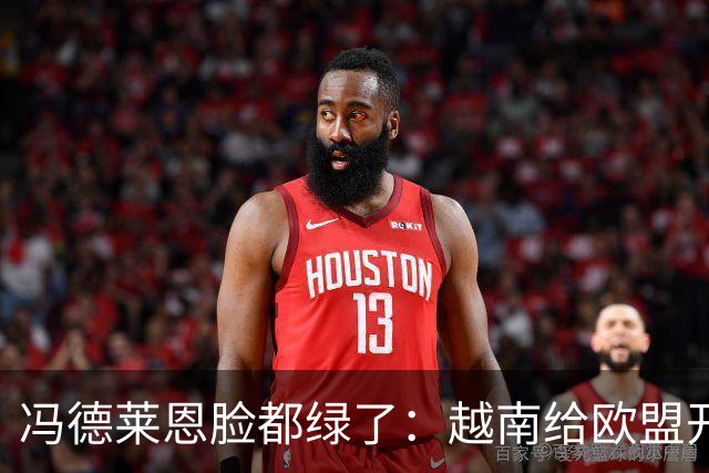 冯德莱恩脸都绿了：越南给欧盟开了开眼：这就是“中国力量”！