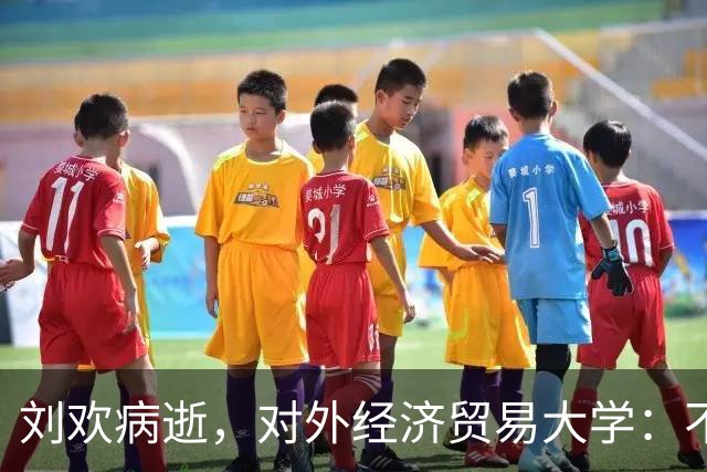 刘欢病逝，对外经济贸易大学：不举行遗体告别仪式和追悼会；他和湖南有这些渊源
