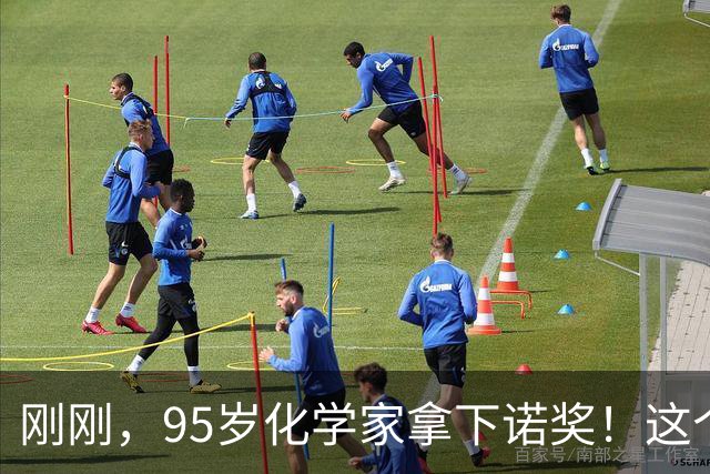刚刚，95岁化学家拿下诺奖！这个奖，他等了整整25年