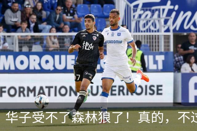 华子受不了森林狼了！真的，不过好像确实也是