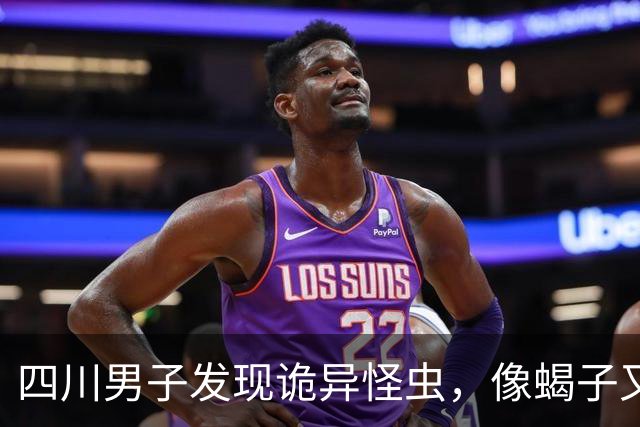 四川男子发现诡异怪虫，像蝎子又像蜘蛛！网友：20年没见过了！