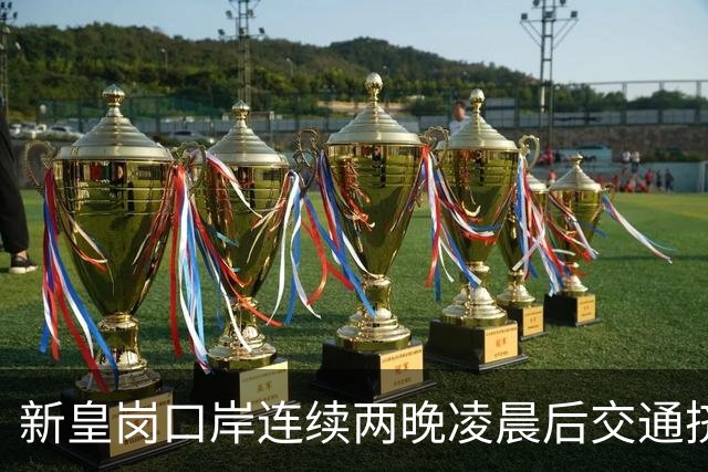 新皇岗口岸连续两晚凌晨后交通挤塞 议员吁旅客多留一晚消费