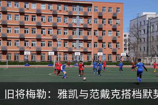 旧将梅勒：雅凯与范戴克搭档默契，他看起来很从容，很稳