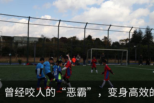 曾经咬人的“恶霸”，变身高效的“野兽”
