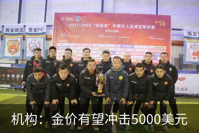 机构：金价有望冲击5000美元
