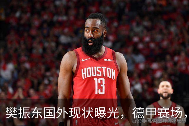 樊振东国外现状曝光，德甲赛场，一人撑起一个队，让人服气