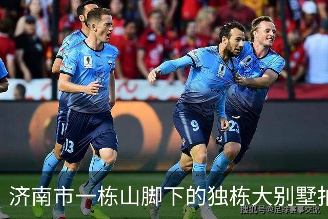 济南市一栋山脚下的独栋大别墅拍卖，被人底价938万元就竞得