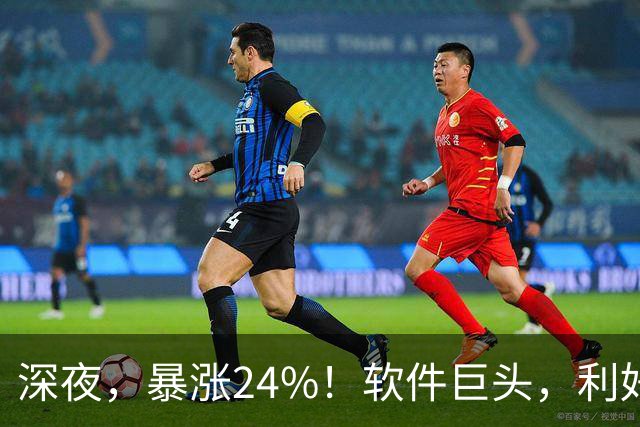 深夜，暴涨24%！软件巨头，利好引爆！
