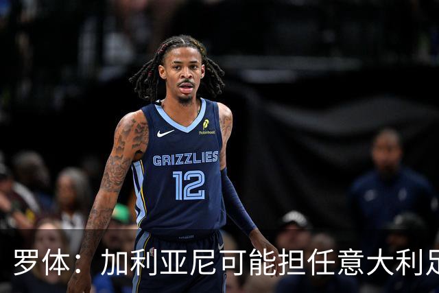罗体：加利亚尼可能担任意大利足协托管人
