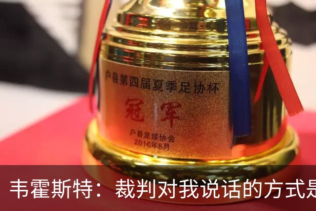 韦霍斯特：裁判对我说话的方式是我对狗都不会说的，而我吃到黄牌