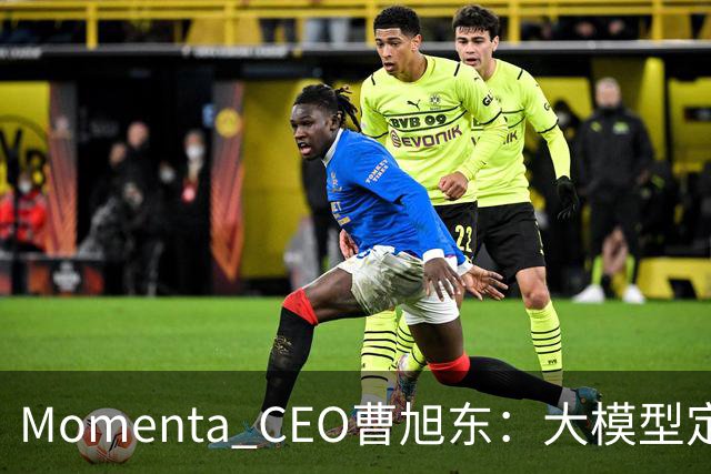 Momenta CEO曹旭东：大模型定义芯片 才有可能实现规模化L4
